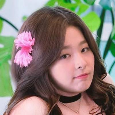 Seulgi - double penetration